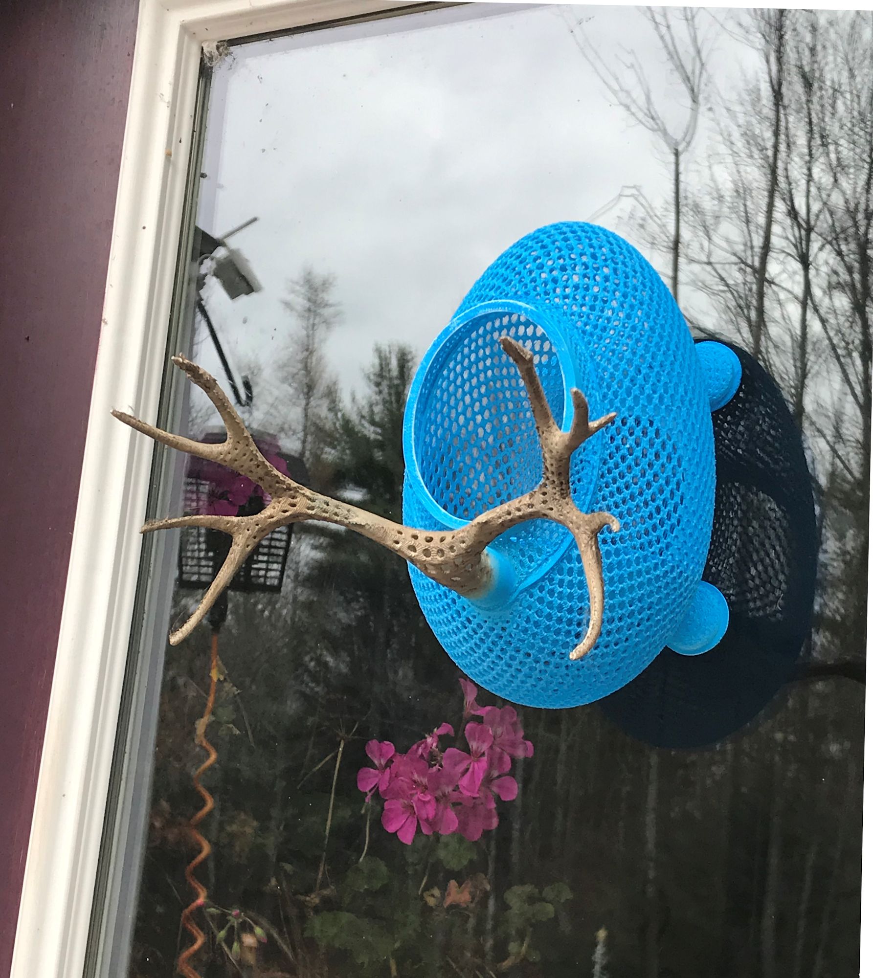 Window Bird Feeder